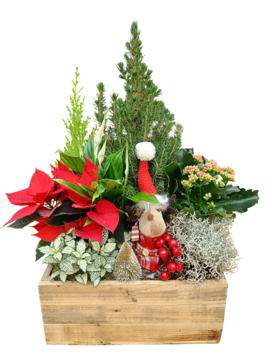 Centro navideño en laton redondo