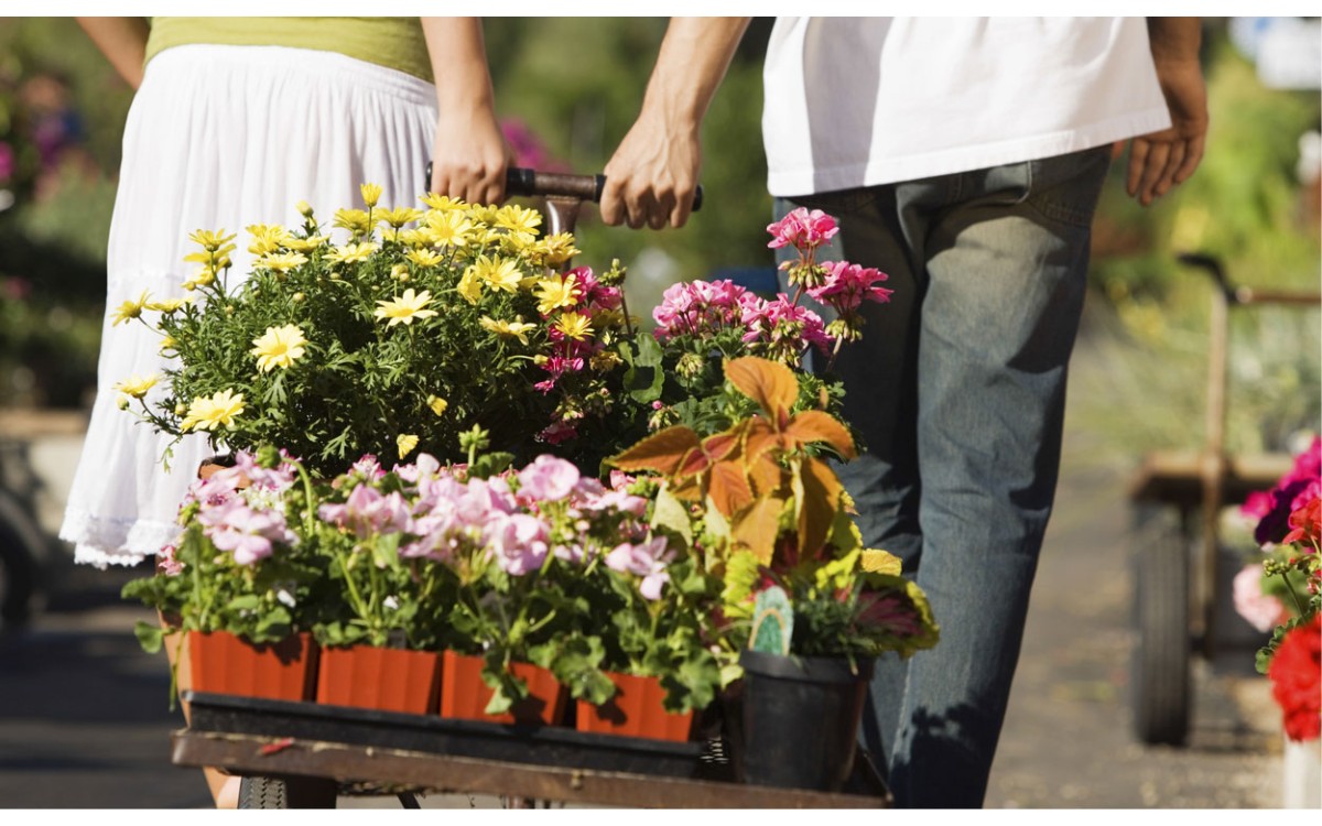 Los beneficios de comprar en la floristería Playgarden de Madrid