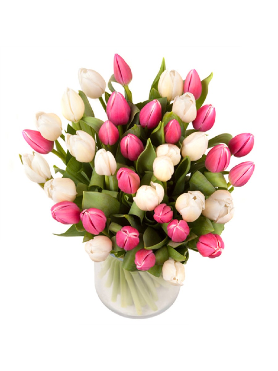 40 Tulipanes Rosas y Blancos (incluido jarrón de regalo)