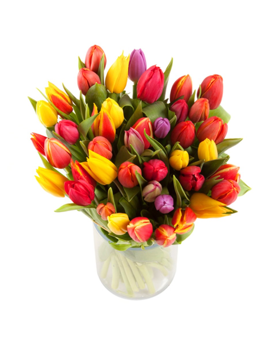 40 tulipanes variados (incluido jarrón de regalo)