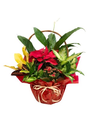 Centro navideño envuelto en papel de regalo