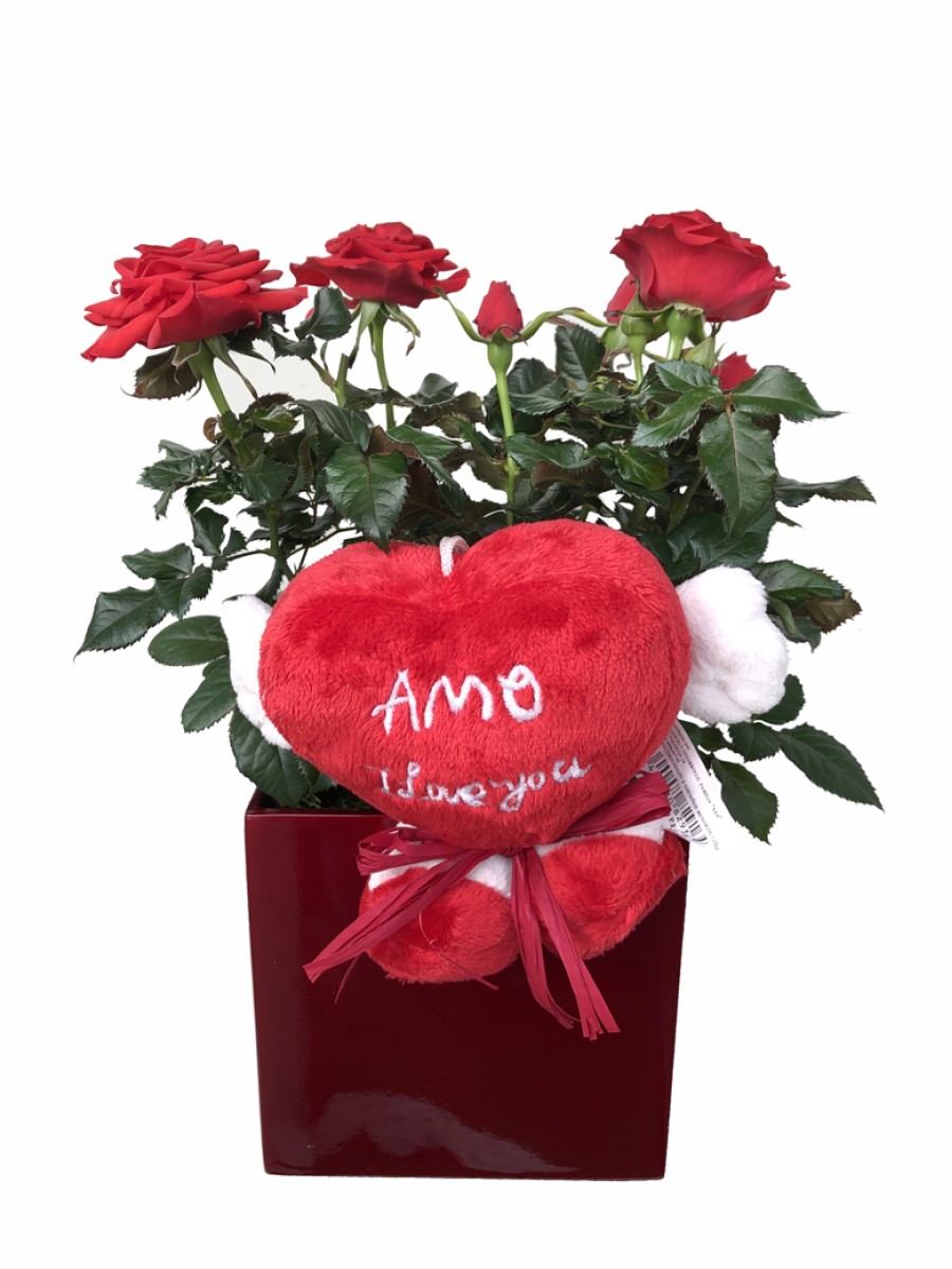 Rosal en maceta decorada San Valentin