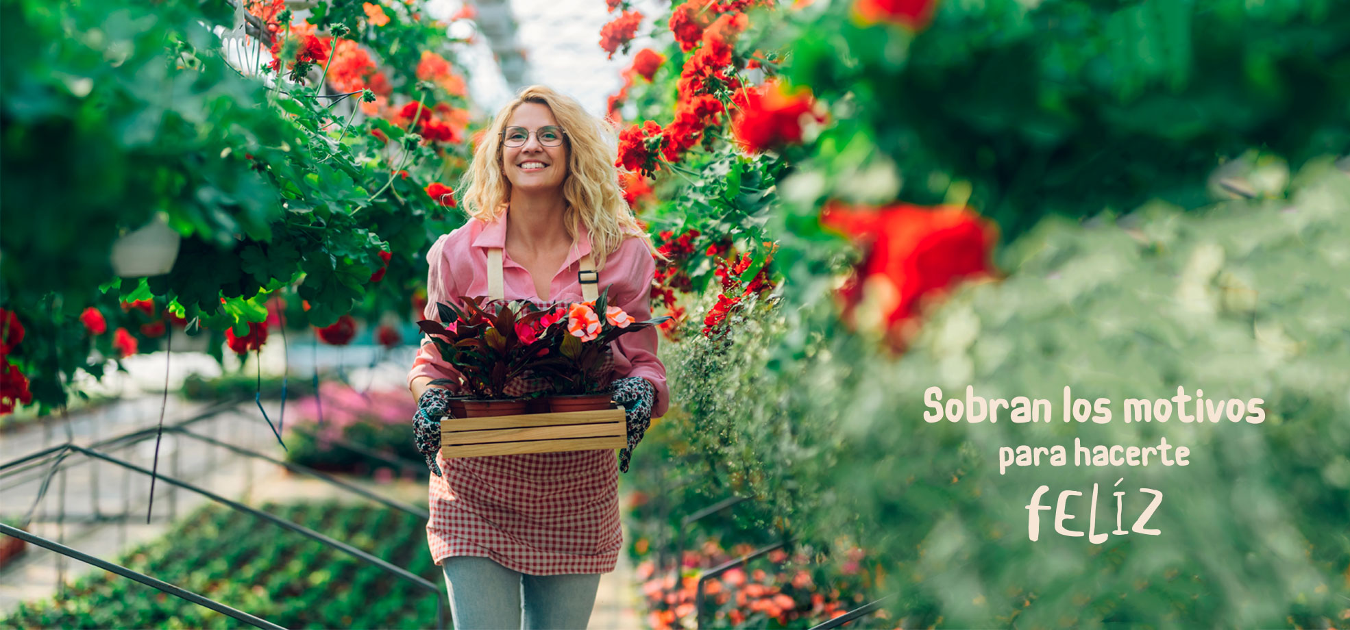 Playgarden, Vivero de Plantas y Flores en Madrid